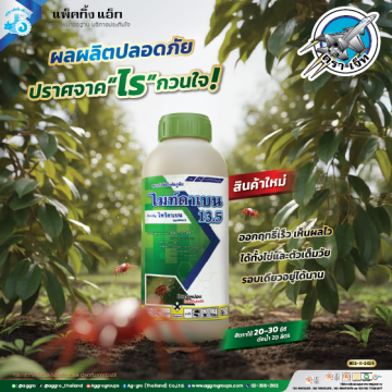 ไมท์ริดา